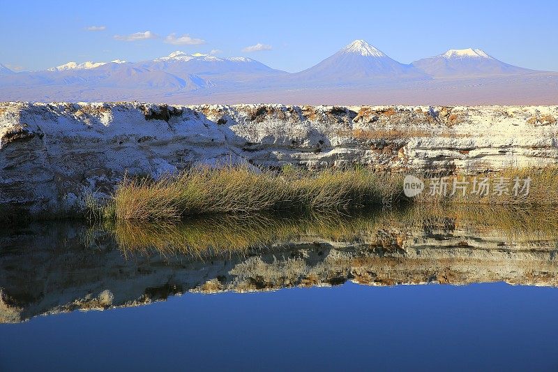 Ojos del salar - salar, Licancabur和Juriques火山的眼睛-绿松石湖反射和田园般的阿塔卡马沙漠，火山景观全景-圣佩德罗阿塔卡马，智利，Bolívia和阿根廷边境